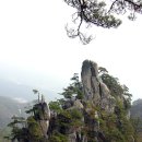 산유화농장 이미지