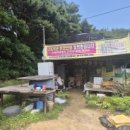 상현농장 네이버블로그