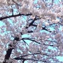 건강체조,라인댄스,미술교실 이미지