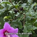 이*경 - 미추홀구 주승로 | 이*경