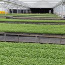 기업은행 동수원지점 앞 이미지