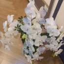 전시실 | 제28회 대한 서화 예술 대전 2025. 12.15.~12.20. 부산광역시청 제1.2.3.전시실 (후기)