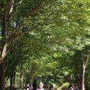 상평어린이집 이미지