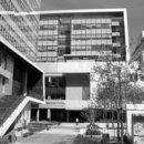 경북대학교 치의학전문대학원 이미지