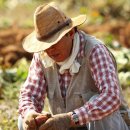 이양약국 이미지