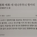 청화전기
