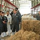 공주한우 뉴스세상