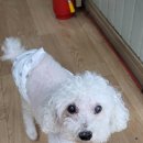 아주4길 이미지