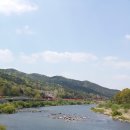 섬진강변 철쭉길 이미지