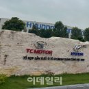 법인대탄
