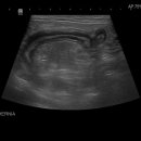 본동물메디컬센터 24시수성점 이미지