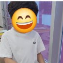 해빛초등학교 네이버블로그