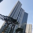 메이플부동산공인중개사사무소 이미지