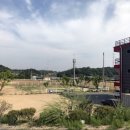 에스라인 이미지