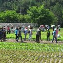 오병이어농장 이미지