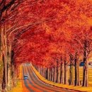 Adagio in G Minor ~ Albinoni/송어 - 김세일, 이효주 이미지