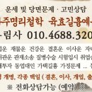부림사 이미지