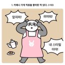 금사빠 - 창원시 의창구 | 금사빠