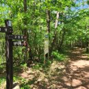 일암다리 이미지