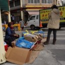 대우땅콩 이미지