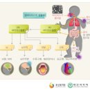 세균성수막염 분류표[별표-질병관련34] 이미지