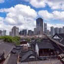 트래블 메이커 일간스포츠
