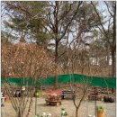 태허정로 이미지