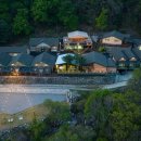 어비 포레스트 이미지