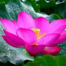 황경애한의원 이미지