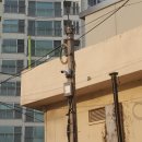 태양맨션 이미지