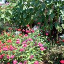 하늘빛바다 이미지