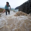 자은도하우스 이미지