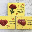 (행복정원) 🌷스칸디아모스 카네이션 예약구매하시는 분들께 할인해택드립니다~😊 이미지