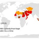 이슬람 국가들의 종교의 자유 실태 이미지
