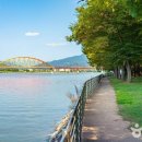 자연의숨결 이미지