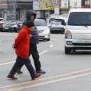 고령카써비스