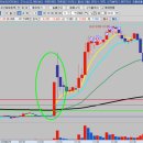 우진트레이딩 이미지