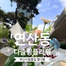지에스25 연무플라워점 | 부산시청꽃집 다즐링플라워에서 감성 가득한 꽃다발 포장 후기