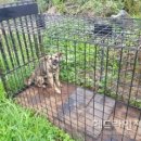 미력 농장 이미지