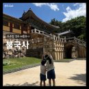 여름 | 경주 불국사 아이랑 여름방문 후기 || 준비물 입장료 동선