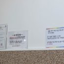 보다비네일