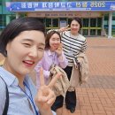 정선고등학교 이미지