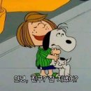 미미네집 이미지