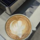 꼬모플레리 | 얼레벌레