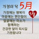구의복싱 이미지