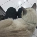 두리동물클리닉 이미지