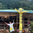 깜짝식당 이미지