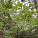 미니스톱 해양공원점 이미지