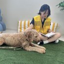 서서울동물병원 이미지