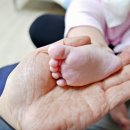산후도우미 업체 닥터맘 업무 범위와 하는일 알아보기